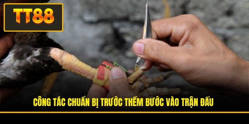 Công tác chuẩn bị trước thềm bước vào trận đấu