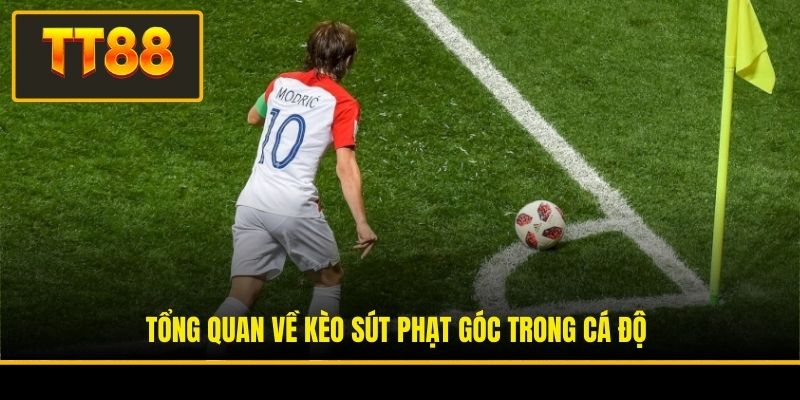 Tổng quan về kèo sút phạt góc trong cá độ